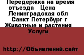 Передержка на время отъезда › Цена ­ 500 - Ленинградская обл., Санкт-Петербург г. Животные и растения » Услуги   